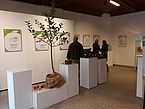 Ausstellung 2017